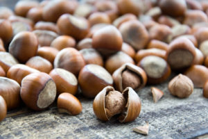 Minaccia con la pistola a salve un giovane che stava tentando di rubare 40 kg di nocciole dalla sua proprietà: arriva la denuncia per entrambi.