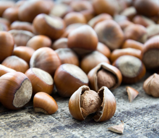 Tenta di rubare 40 kg di nocciole, agricoltore lo minaccia con la pistola: denunciati entrambi