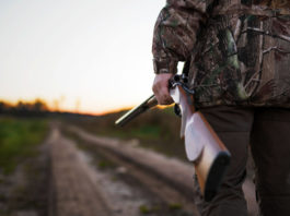 Uccise un cane a caccia, (per ora) salva il porto d’armi