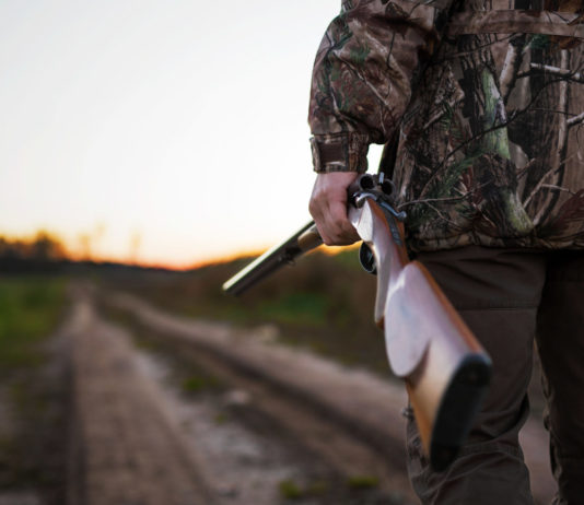 Uccise un cane a caccia, (per ora) salva il porto d’armi