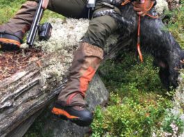 Track Gtx: la nuova proposta di Crispi per i cacciatori di beccaccia Track Gtx