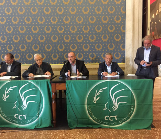 I molti rischi della riforma