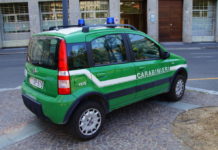 Armi non registrate e abbattimento di specie protette, sequestri e denunce a Bardolino