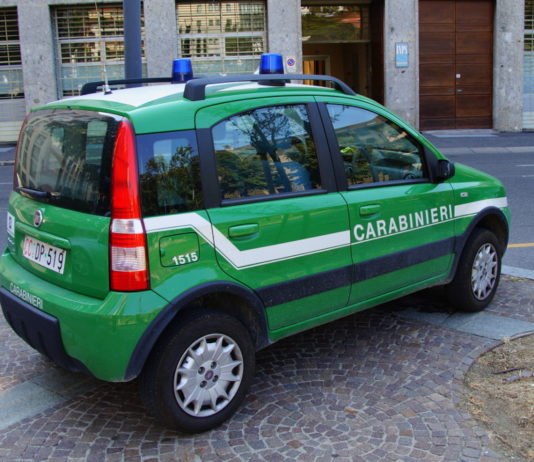 Armi non registrate e abbattimento di specie protette, sequestri e denunce a Bardolino