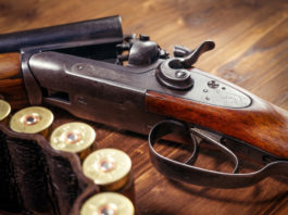 Aveva armi del marito morto nel 1995, arrestata settantacinquenne