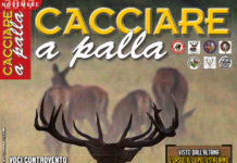 Cacciare a Palla novembre 2017 in edicola dal 17 ottobre Cacciare a Palla novembre 2017