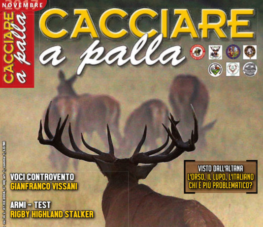 Cacciare a Palla novembre 2017 in edicola dal 17 ottobre Cacciare a Palla novembre 2017