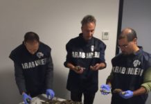 Carabinieri forestali: operazione antibracconaggio all’aeroporto di Bergamo Carabinieri