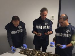 Carabinieri forestali: operazione antibracconaggio all’aeroporto di Bergamo Carabinieri