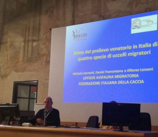 Convegno nazionale di ornitologia: Federcaccia ha presentato tre contributi convegno
