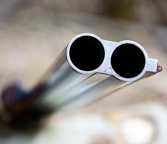 Porta a riparare canna di fucile ma è soggetto a divieto di detenzione armi