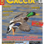 Sentieri di Caccia novembre 2017 in edicola dal 28 ottobre Sentieri di Caccia novembre 2017