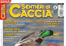Sentieri di Caccia novembre 2017 in edicola dal 28 ottobre Sentieri di Caccia novembre 2017