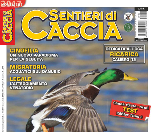 Sentieri di Caccia novembre 2017 in edicola dal 28 ottobre Sentieri di Caccia novembre 2017