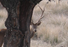 Sky Caccia: le novità in programma a novembre Sky Caccia