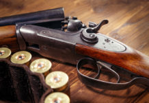 Spara in aria per far scappare un ladro, denunciato