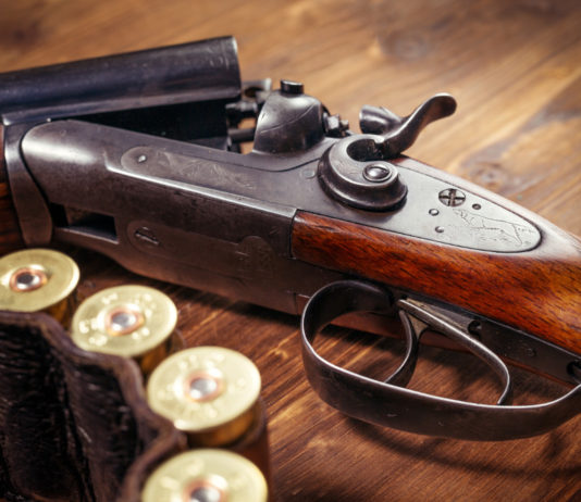 Spara in aria per far scappare un ladro, denunciato