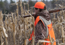 Lascia l’arma al quindicenne che lo accompagnava, denunciato cacciatore Young boy hunting