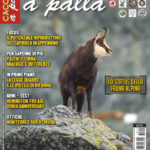 Cacciare a Palla dicembre 2017 in edicola dal 17 novembre Cacciare a Palla dicembre 2017