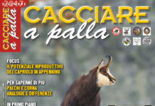 Cacciare a Palla dicembre 2017 in edicola dal 17 novembre Cacciare a Palla dicembre 2017