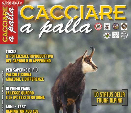 Cacciare a Palla dicembre 2017 in edicola dal 17 novembre Cacciare a Palla dicembre 2017