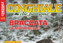 Cinghiale che Passione dicembre 2017 – gennaio 2018 in edicola dal 30 novembre Cinghiale che Passione dicembre 2017 - gennaio 2018