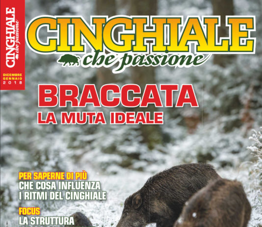 Cinghiale che Passione dicembre 2017 – gennaio 2018 in edicola dal 30 novembre Cinghiale che Passione dicembre 2017 - gennaio 2018