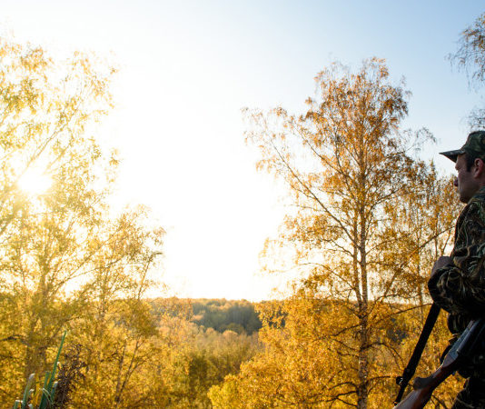 La Stampa: “Servono controlli più severi” Hunter fall