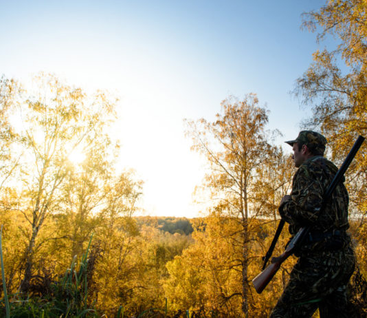 Il racconto è un piacere, la vittoria un viaggio C'è tempo fino al 30 novembre 2017 per partecipare al 4° concorso letterario Caccia, passione e ricordi indetto dalla Federcaccia di Firenze.