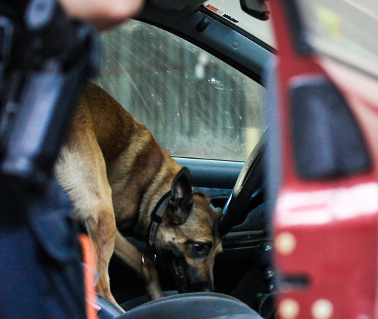 Un bando da mezzo milione di euro Polizia norvegese