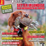 Beccacce che Passione novembre-dicembre 2017: in edicola dal 4 novembre Beccacce che Passione