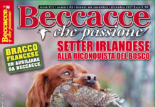 Beccacce che Passione novembre-dicembre 2017: in edicola dal 4 novembre Beccacce che Passione