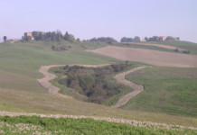 La gestione del patrimonio vivi-faunistico in Italia: se ne discute a Roma il 14 novembre gestione