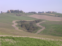 La gestione del patrimonio vivi-faunistico in Italia: se ne discute a Roma il 14 novembre gestione