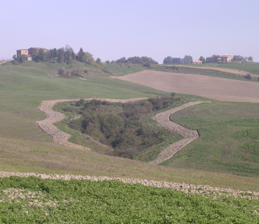 La gestione del patrimonio vivi-faunistico in Italia: se ne discute a Roma il 14 novembre gestione