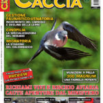 Sentieri di Caccia dicembre 2017 in edicola dal 28 novembre Sentieri di Caccia dicembre 2017