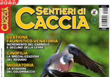 Sentieri di Caccia dicembre 2017 in edicola dal 28 novembre Sentieri di Caccia dicembre 2017
