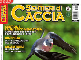 Sentieri di Caccia dicembre 2017 in edicola dal 28 novembre Sentieri di Caccia dicembre 2017