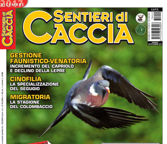 Sentieri di Caccia dicembre 2017 in edicola dal 28 novembre Sentieri di Caccia dicembre 2017