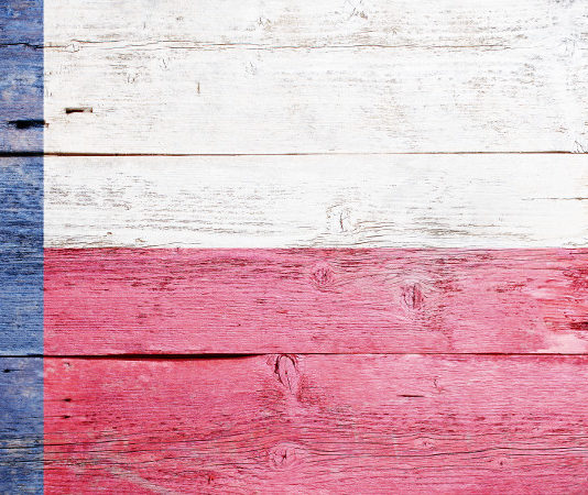 «Il problema sono le persone, non le armi» Texas flag