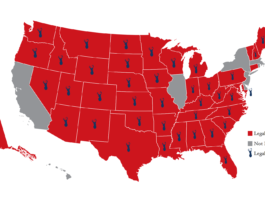 Moderatori di suono o silenziatori? moderatori di suono