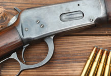 I primi effetti della circolare del ministero