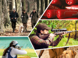 Biglietti scontati per Hit Show 2018 Biglietti scontati per Hit Show 2018