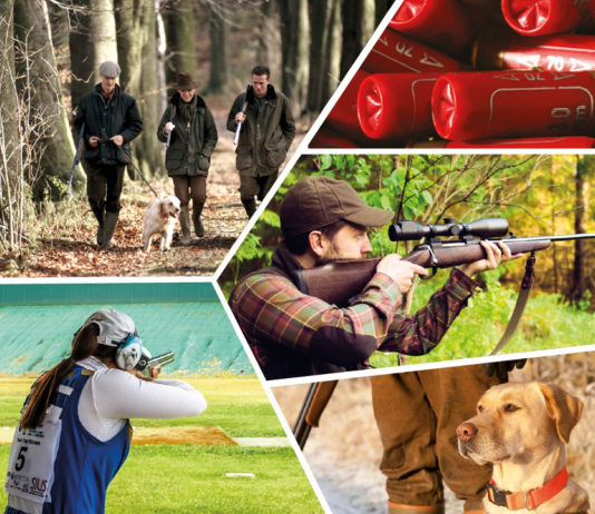 Biglietti scontati per Hit Show 2018 Biglietti scontati per Hit Show 2018