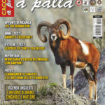 Cacciare a Palla gennaio 2018 in edicola dal 16 dicembre Cacciare a Palla gennaio 2018
