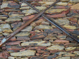 Cacciò nel parco dei Monti Sibillini: via il fucile nonostante la prescrizione prescrizione in sede penale tar dell'umbria cacciare all'interno del parco nazionale dei monti sibillini revoca del porto d'armi