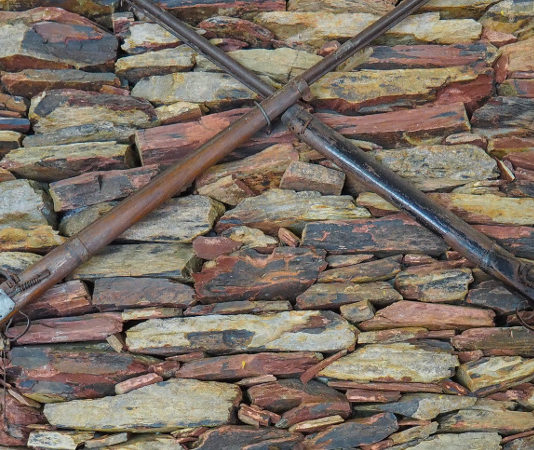 Cacciò nel parco dei Monti Sibillini: via il fucile nonostante la prescrizione prescrizione in sede penale tar dell'umbria cacciare all'interno del parco nazionale dei monti sibillini revoca del porto d'armi