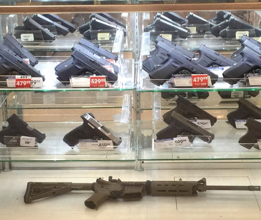 Mercato delle armi e morti accidentali, polemiche sullo studio di Science Gun market