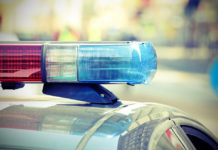 Perde fucile durante battuta di caccia, lo ritrovano carabinieri