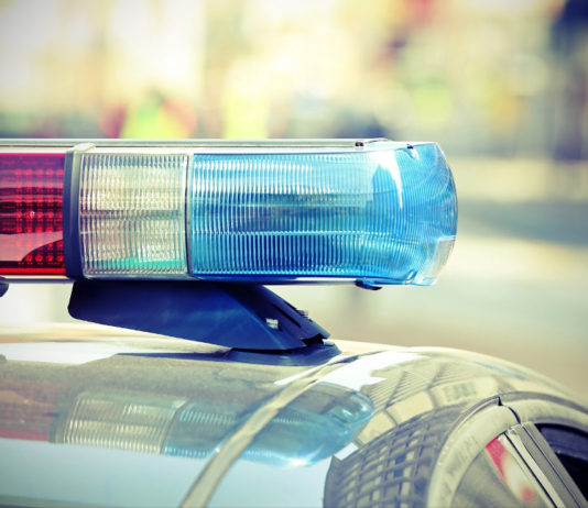 Perde fucile durante battuta di caccia, lo ritrovano carabinieri